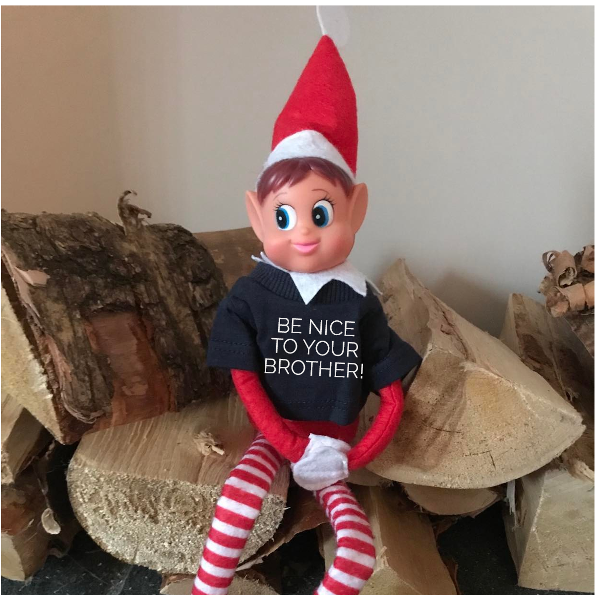 Be Nice To Your Brother / Sister / Sibling Warning Funny Naughty Elf T-Shirt