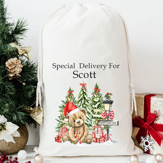 Personalised Special Delivery Christmas Bear Santa Sack