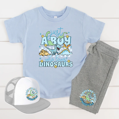 Just A Boy Who Loves Dinosaurs Shorts & T-Shirt Set